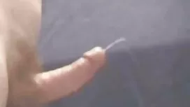 Discepoli carino vid ...