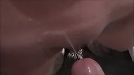 Uomini cazzo video p ...