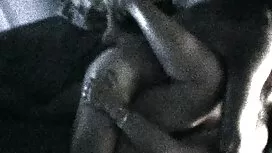 Lui è molto video po ...