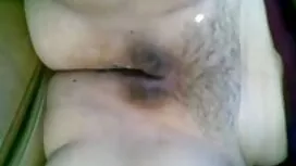 La segretaria lupo v ...
