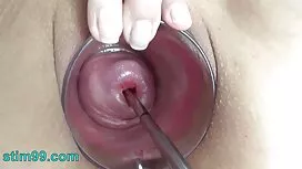 Una bella bruna con  ...