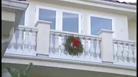 Una cagna giovane fi ...